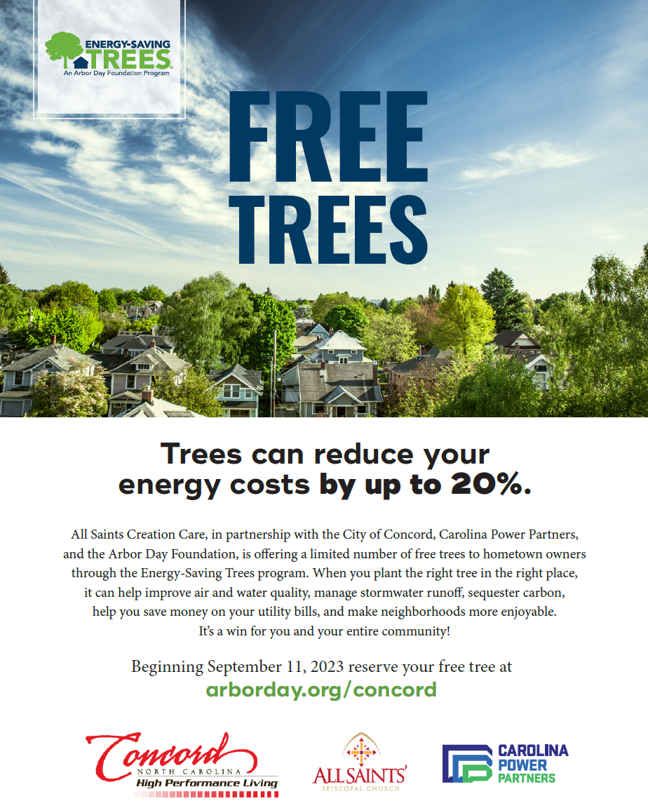 Energy Saving Trees Program Flyer Energy Saving Trees Program Flyer